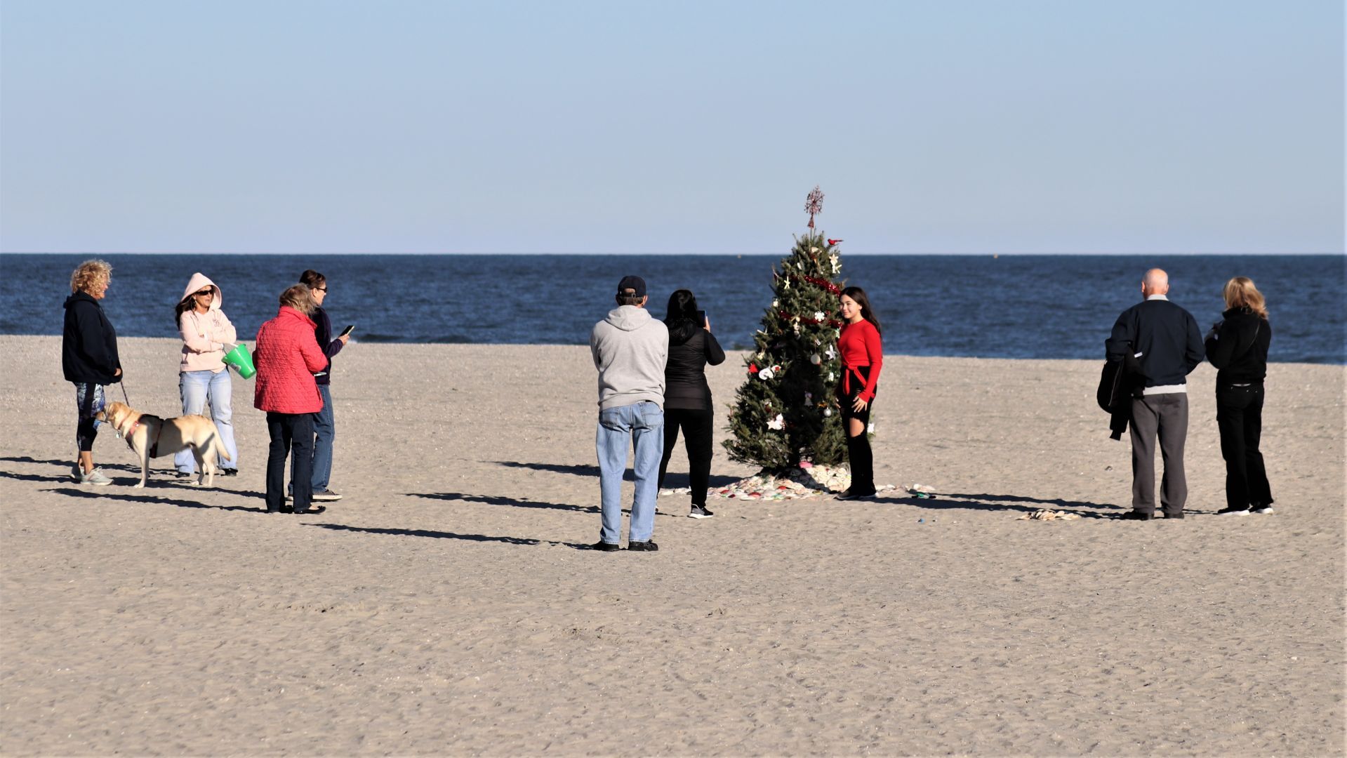 ocbeachtrees_Press beach trees (17)